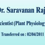 Saravanam_info.jpg